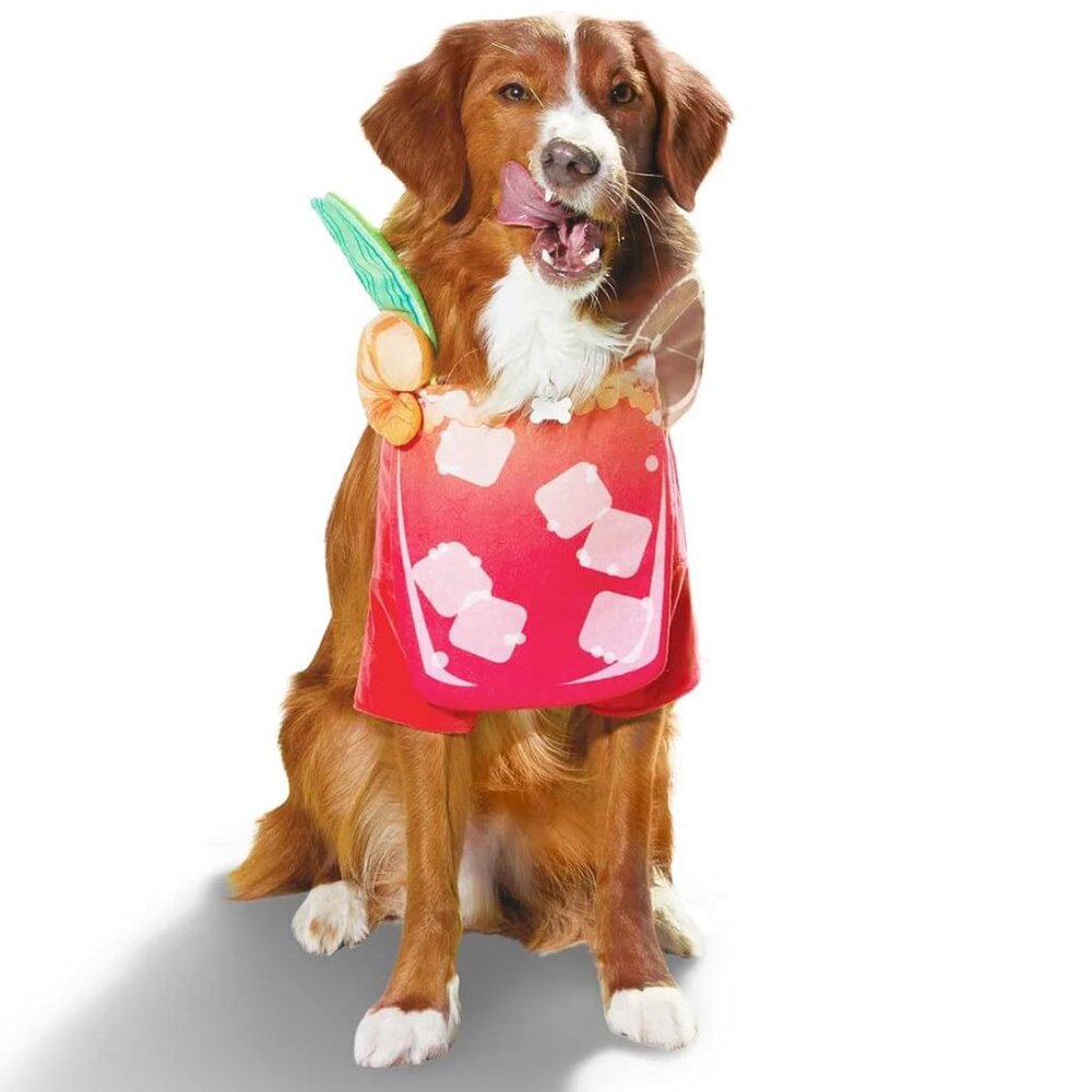 Dog Halloween Costume Bloody Mary, Large, Medium or XS